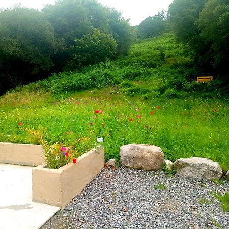 Donegal Cottage Donegal Town ภายนอก รูปภาพ