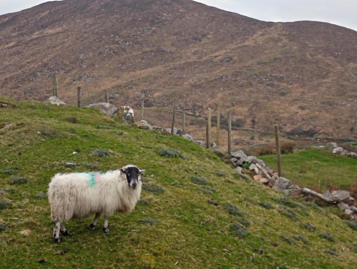 Donegal Cottage Donegal Town ภายนอก รูปภาพ