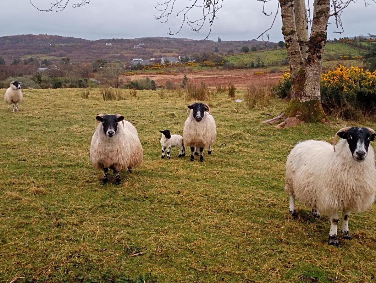 Donegal Cottage Donegal Town ภายนอก รูปภาพ