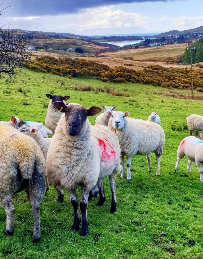 Donegal Cottage Donegal Town ภายนอก รูปภาพ