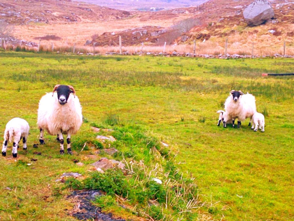 Donegal Cottage Donegal Town ภายนอก รูปภาพ