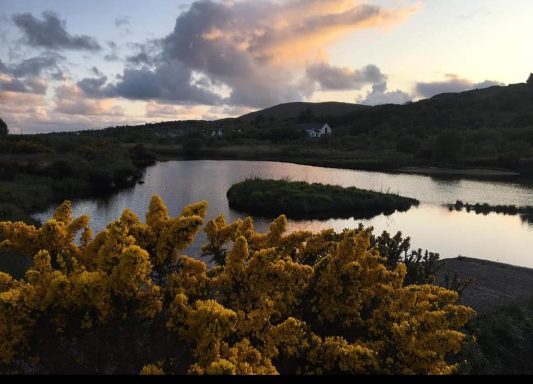 Donegal Cottage Donegal Town ภายนอก รูปภาพ