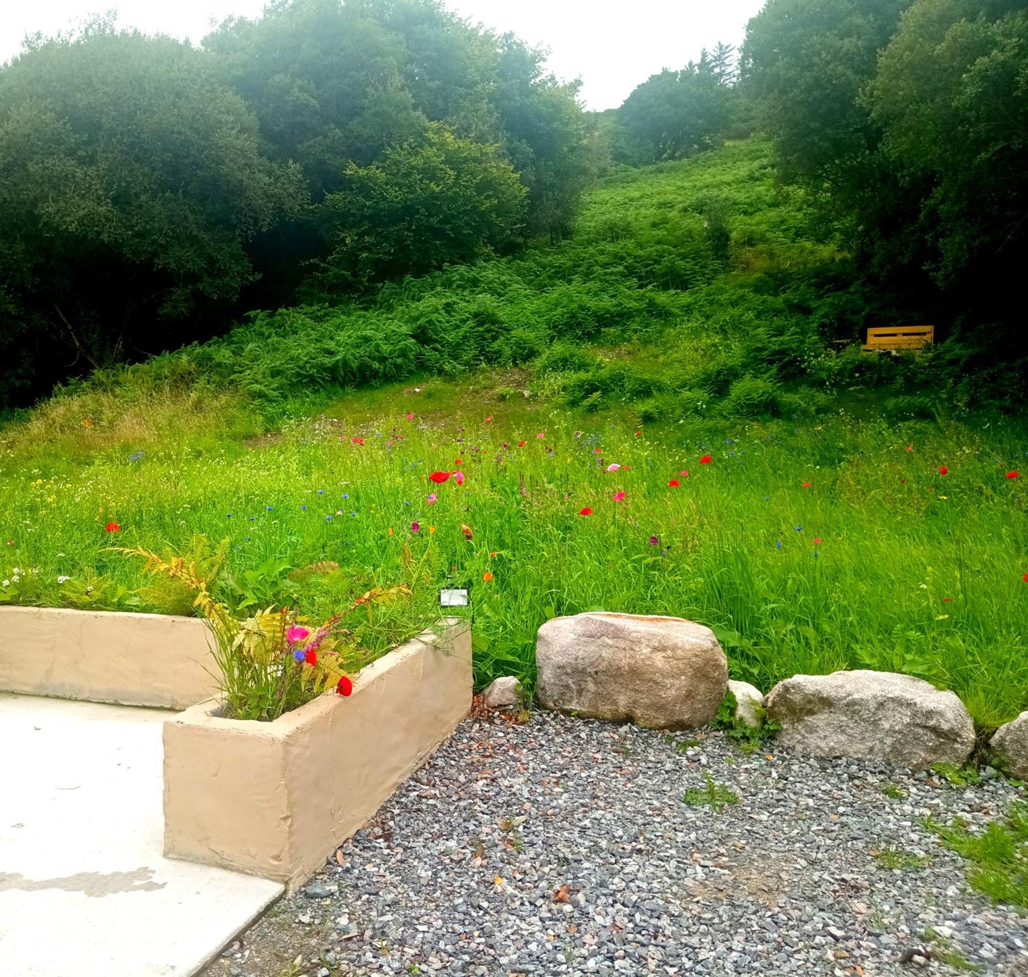 Donegal Cottage Donegal Town ภายนอก รูปภาพ